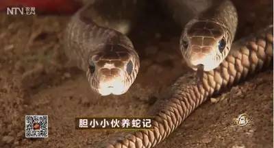 将“新白娘子传奇”转变为致富神话