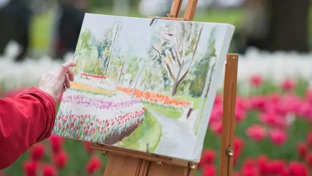 郁金香花节,全世界最大的郁金香