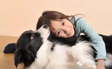 家里有孩子的适合养什么短毛宠物,学生党适合养1-5块钱的宠物