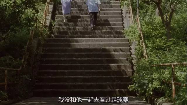 步履不停你才25岁,步履不停你才25岁台词