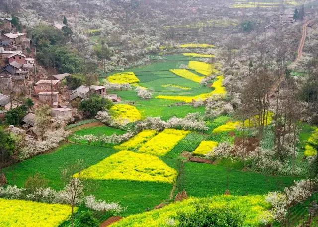 安顺除了龙宫黄果树还有哪里好玩,安顺哪里的瀑布最好玩