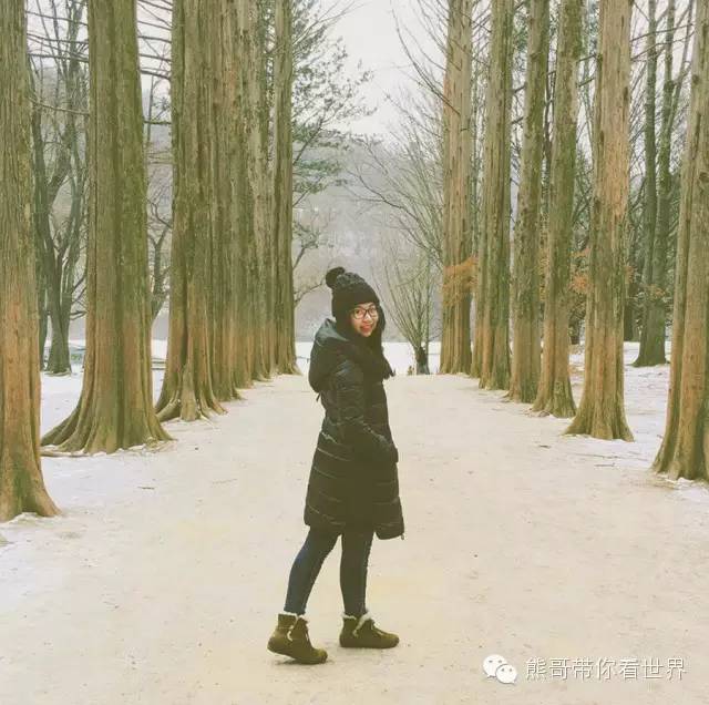 熊哥自驾游路线,熊哥自驾游全攻略