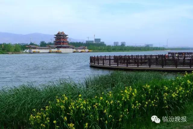 头条|我叫临汾,这是我的最新简历,请多关照!