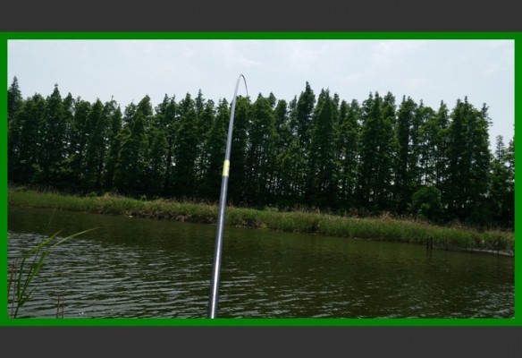 閲庨挀鐑х儰缁濅匠鐮佸ご,鎺ㄨ崘閽撻奔鐑х儰