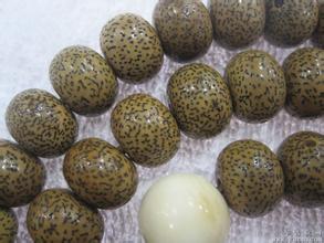 星月可以入手吗,星月有必要作假吗