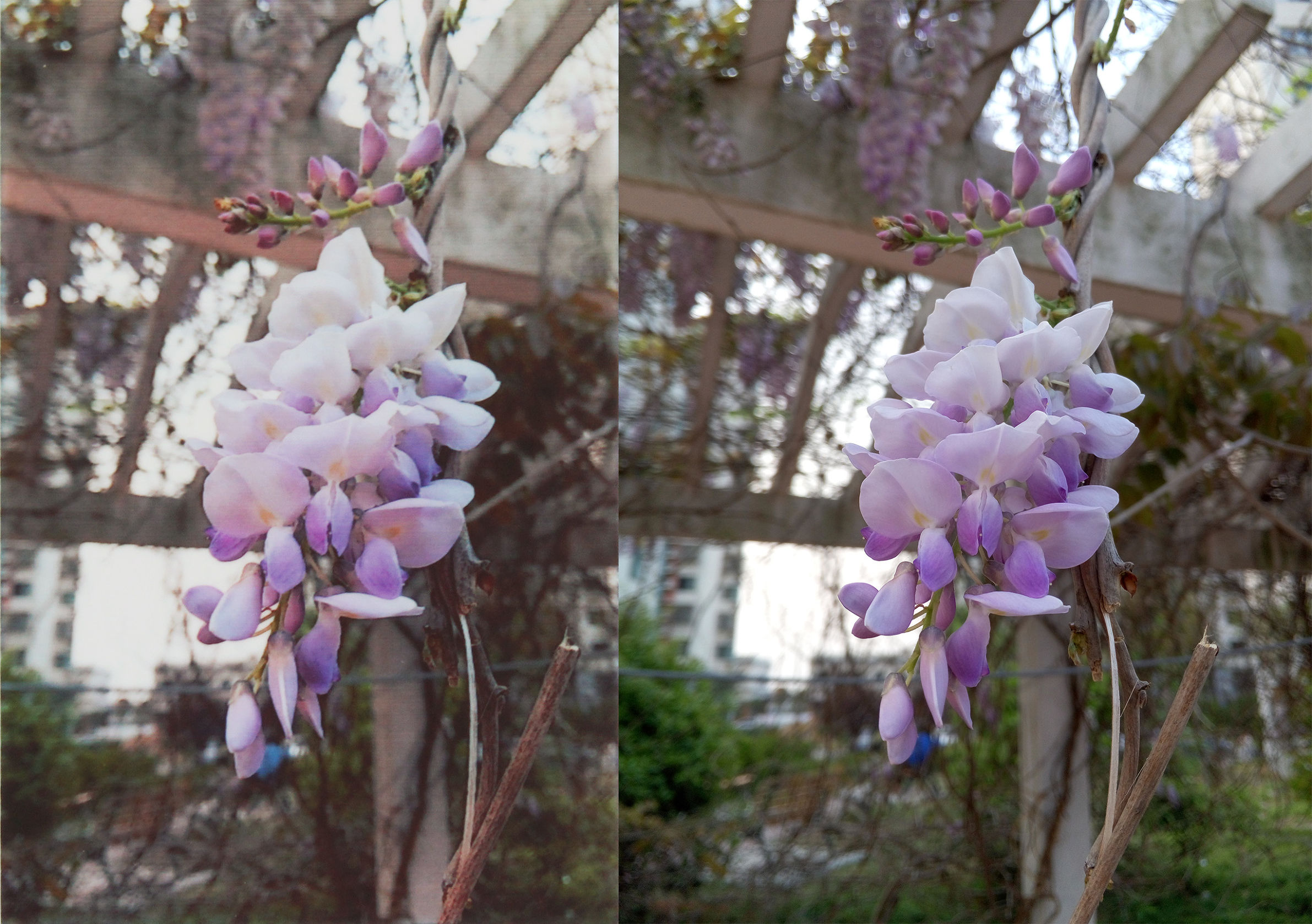 口袋照片打印机测评,口袋照片打印机1寸照片