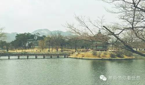 熊哥自驾游路线,熊哥自驾游全攻略