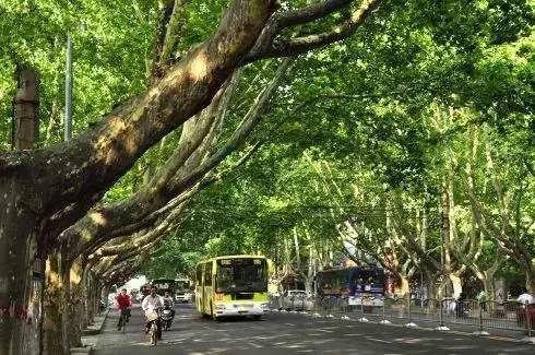 郑州京广路城市记忆,郑州南大街的回忆