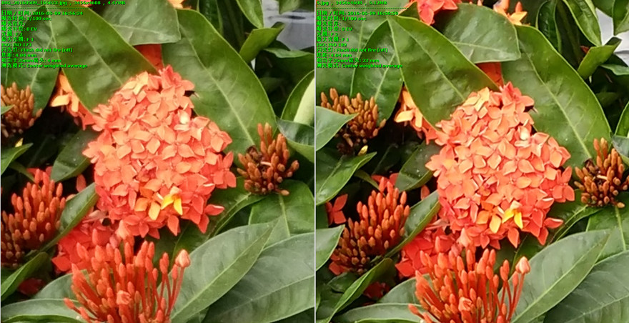 vivoxplay5和旗舰版的区别,vivoxplay5旗舰版价格表