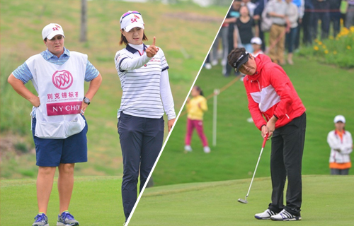 楠（nan）打的高尔夫