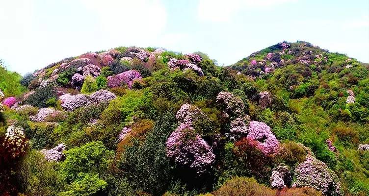 春节重庆免费景点大全,重庆自驾免费景点