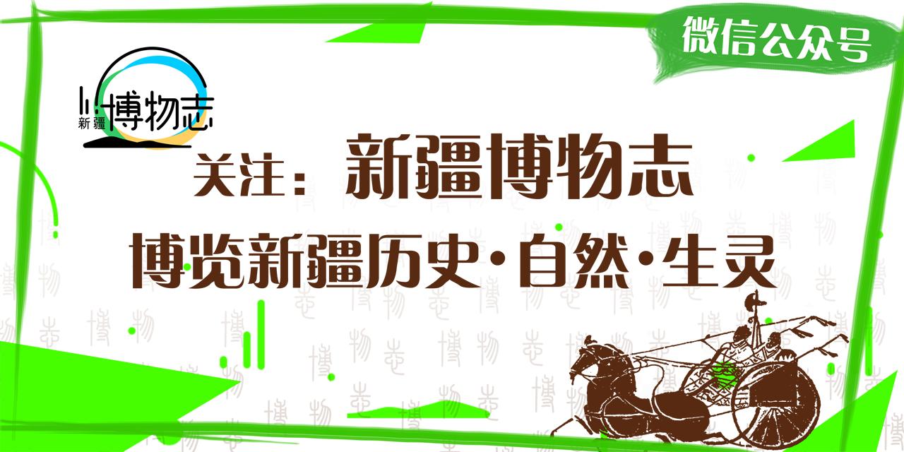 乌鲁木齐市昊元上品的房子怎么样,昊元上品乌鲁木齐