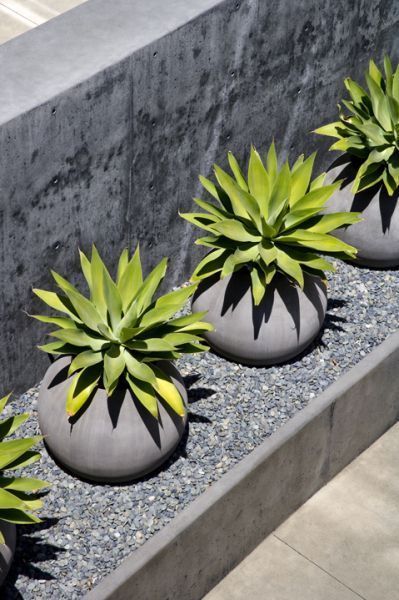 性冷淡风最好的方法,性冷淡风如何用药