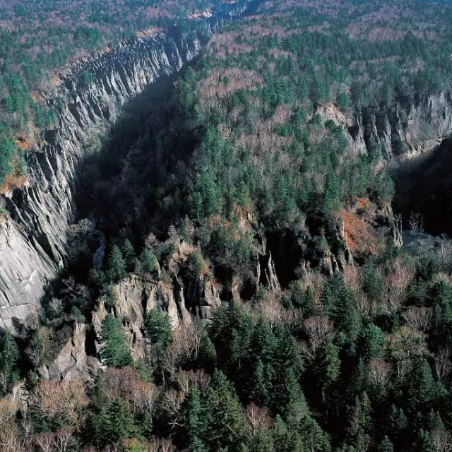 夏日乐悠最新视频,夏日乐悠游