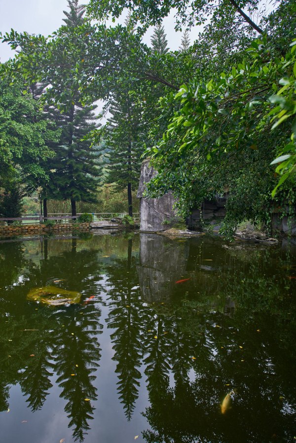 从化温泉之旅,从化文轩苑温泉攻略