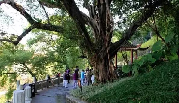 福州夏季避暑胜地排行榜,福州十大避暑地方都有哪里