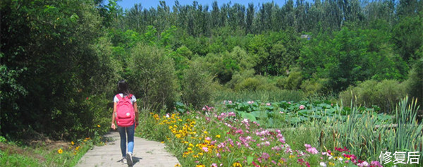 城市双修的缺点,什么是城市双修