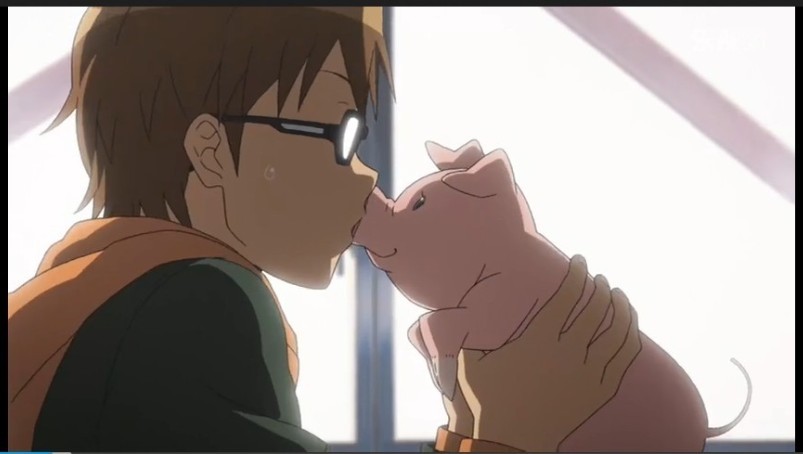 那些温暖人心的电影片段,超级好看的治愈系动画