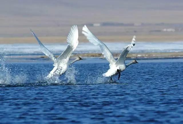 五一杭州千岛湖自驾游攻略,游千岛湖最佳季节
