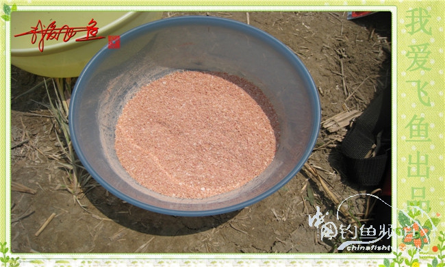 我爱飞鱼初探新钓点