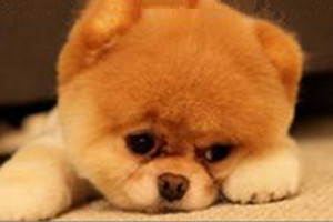 淘宝店降权是谁判的,淘宝店铺降权是什么原因造成的