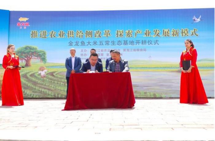 真正的五常大米有哪些,真正的五常大米香吗