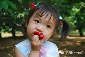 小孩子樱桃吃多了会不会中毒,小孩吃了5个樱桃籽有事吗