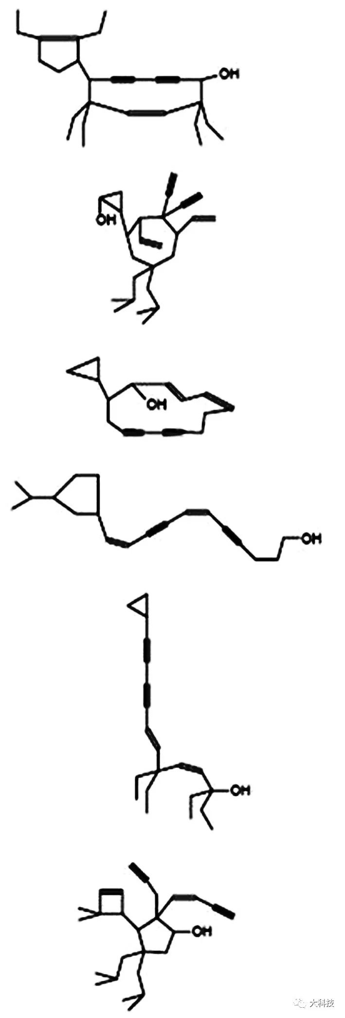 超级群星模仿秀,超级模仿秀