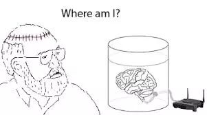 从意识的多重草稿模型到心流｜新书推荐