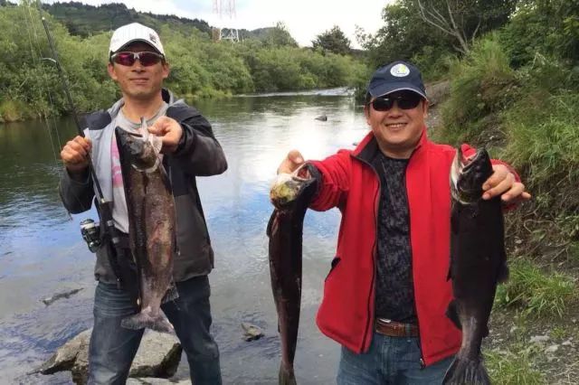 高民环游世界,高民环球旅行