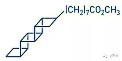 群体的模仿秀,超级模仿秀歌星