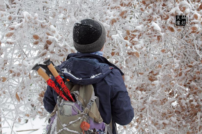 赏雪何须去北国,赏雪不用去远方