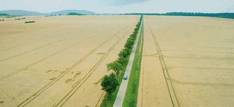 未能在国内上映好片清单,推荐几部国内没上映的好电影
