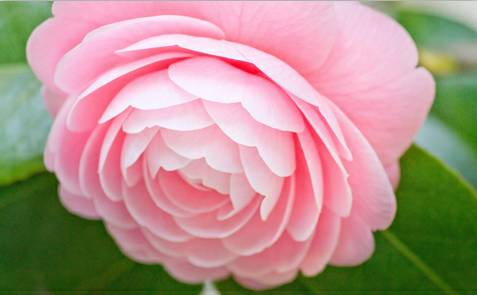 外国人常识有多匮乏,外国人基本常识