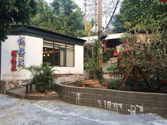 广东广州美食推荐越秀,广州美食推荐越秀