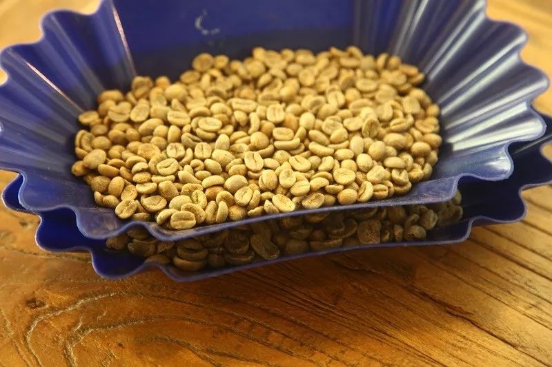 咖啡师入门必看的咖啡知识,精品咖啡学中咖啡的基本知识