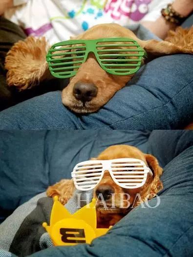 毕竟爱狗｜哈哈哈哈哈哈……听说你们要买狗年单品？我就真的不拦了！