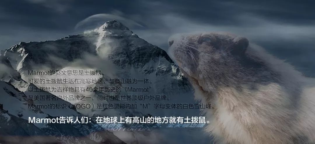 岛国圈钱新招！奇葩户外扭蛋，能扭出整套露营装备