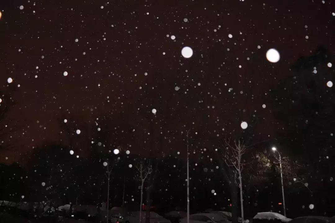 雪下得那么深那么认真下句怎么接,雪下得那么深那么认真全部歌词