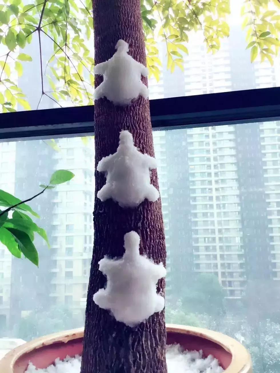 雪下得那么深那么认真下句怎么接,雪下得那么深那么认真全部歌词