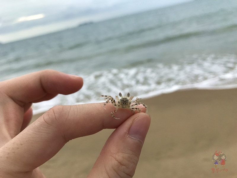 海上观音建成后就没有台风登陆吗,海上观音建成