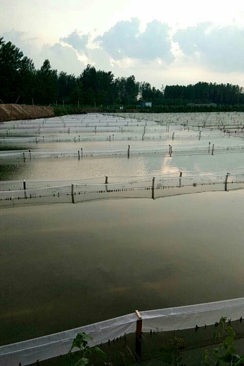 十大创业商机项目有哪些,好商机与创业好项目大全