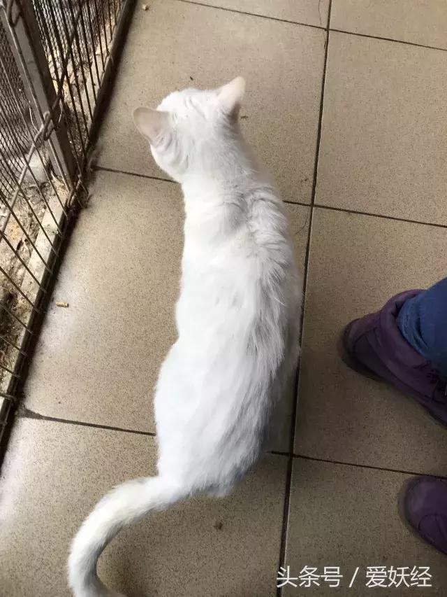 爱妖经陪你过暖冬｜爱要有你才温暖