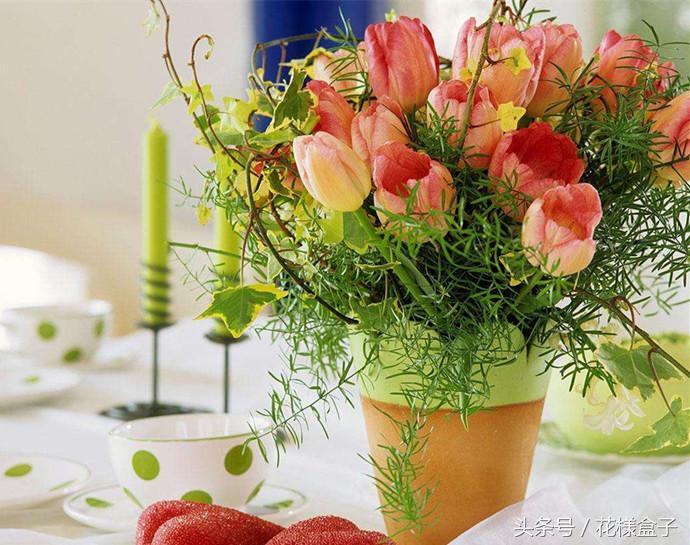 荷兰国花郁金香价格表,荷兰国花郁金香的故事