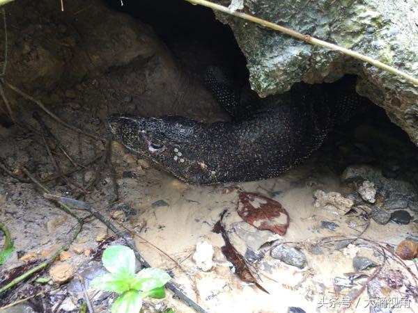 仙本那海岛游玩,仙本那海岛度假