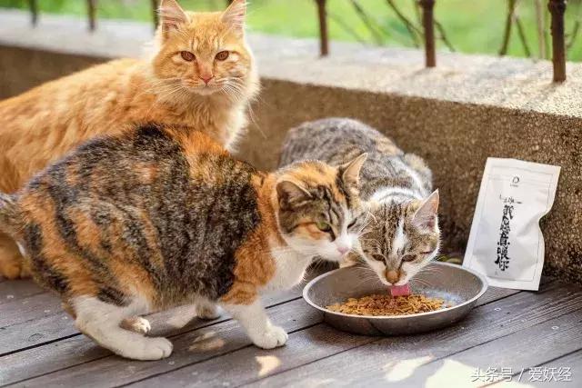 爱妖经陪你过暖冬｜爱要有你才温暖