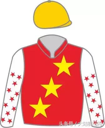 “吉祥如意”当选2017赛季玉龙马会年度马王:“赛事五魁”出炉