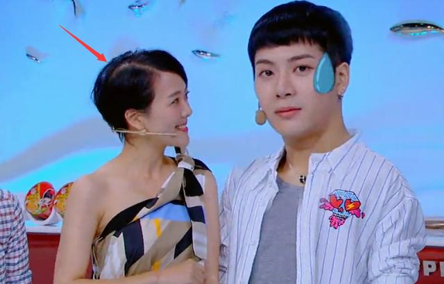 汪涵妻子杨乐乐事件,汪涵的妻子杨乐乐事件