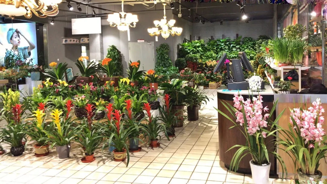 买100送50,好妈妈科技旗下品牌新年送福利，还不赶快来？