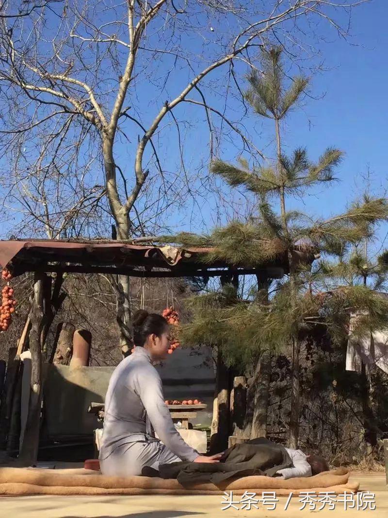 茶道养生课视频教程,茶道养生全集视频